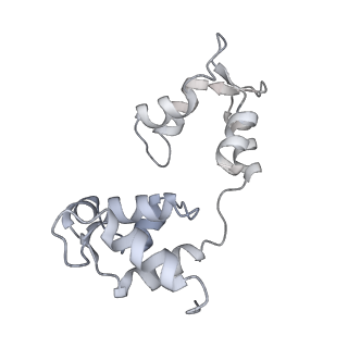 22145_6xe9_N_v1-3
10S myosin II (smooth muscle)