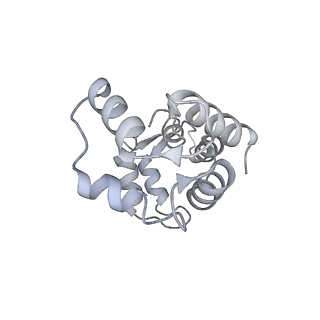 22145_6xe9_O_v1-2
10S myosin II (smooth muscle)