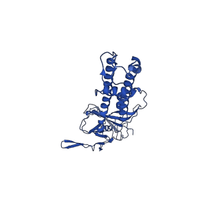 22154_6xev_A_v1-0
CryoEM structure of GIRK2-PIP2/CHS - G protein-gated inwardly rectifying potassium channel GIRK2 with modulators cholesteryl hemisuccinate and PIP2