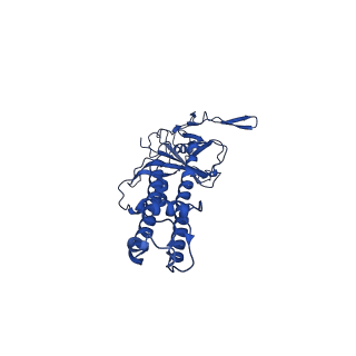 22154_6xev_I_v1-0
CryoEM structure of GIRK2-PIP2/CHS - G protein-gated inwardly rectifying potassium channel GIRK2 with modulators cholesteryl hemisuccinate and PIP2