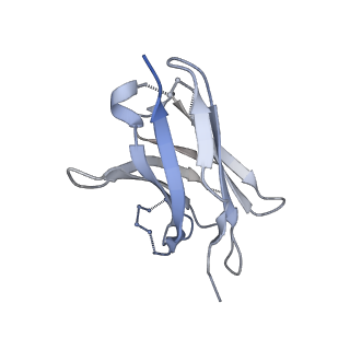 22156_6xey_F_v1-0
Cryo-EM structure of the SARS-CoV-2 spike glycoprotein bound to Fab 2-4