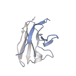22156_6xey_G_v1-0
Cryo-EM structure of the SARS-CoV-2 spike glycoprotein bound to Fab 2-4