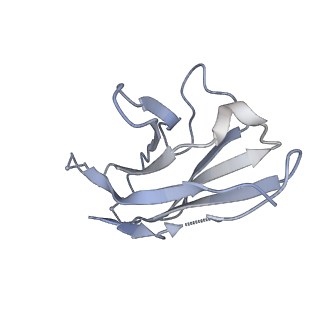 22156_6xey_K_v1-0
Cryo-EM structure of the SARS-CoV-2 spike glycoprotein bound to Fab 2-4