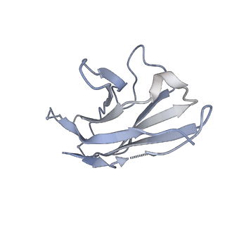 22156_6xey_K_v2-4
Cryo-EM structure of the SARS-CoV-2 spike glycoprotein bound to Fab 2-4