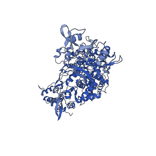 22160_6xez_A_v1-3
Structure of SARS-CoV-2 replication-transcription complex bound to nsp13 helicase - nsp13(2)-RTC