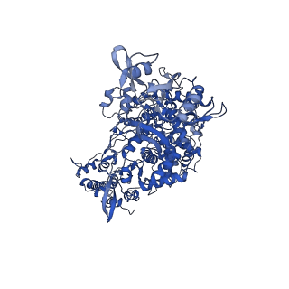 22160_6xez_A_v1-4
Structure of SARS-CoV-2 replication-transcription complex bound to nsp13 helicase - nsp13(2)-RTC