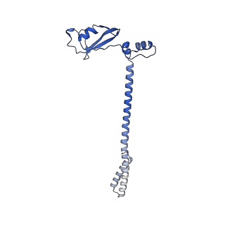 22160_6xez_B_v1-4
Structure of SARS-CoV-2 replication-transcription complex bound to nsp13 helicase - nsp13(2)-RTC