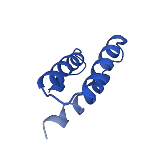 22160_6xez_C_v1-4
Structure of SARS-CoV-2 replication-transcription complex bound to nsp13 helicase - nsp13(2)-RTC