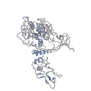 22160_6xez_E_v1-3
Structure of SARS-CoV-2 replication-transcription complex bound to nsp13 helicase - nsp13(2)-RTC