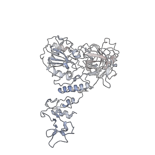 22160_6xez_F_v1-3
Structure of SARS-CoV-2 replication-transcription complex bound to nsp13 helicase - nsp13(2)-RTC