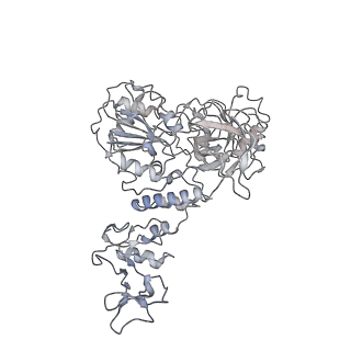 22160_6xez_F_v1-4
Structure of SARS-CoV-2 replication-transcription complex bound to nsp13 helicase - nsp13(2)-RTC