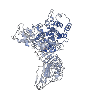33153_7xe0_A_v1-1
Cryo-EM structure of plant NLR Sr35 resistosome