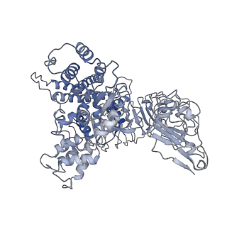 33153_7xe0_C_v1-1
Cryo-EM structure of plant NLR Sr35 resistosome
