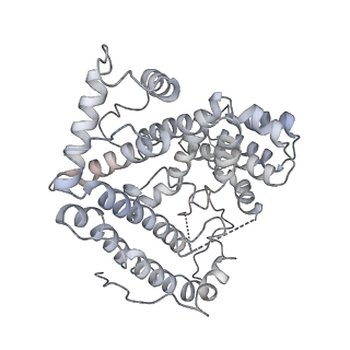 33153_7xe0_D_v1-1
Cryo-EM structure of plant NLR Sr35 resistosome
