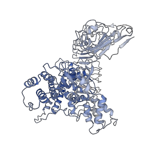 33153_7xe0_E_v1-1
Cryo-EM structure of plant NLR Sr35 resistosome