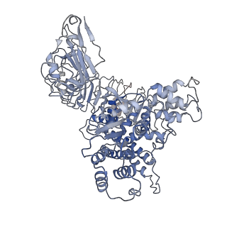 33153_7xe0_G_v1-1
Cryo-EM structure of plant NLR Sr35 resistosome