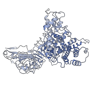 33153_7xe0_I_v1-1
Cryo-EM structure of plant NLR Sr35 resistosome