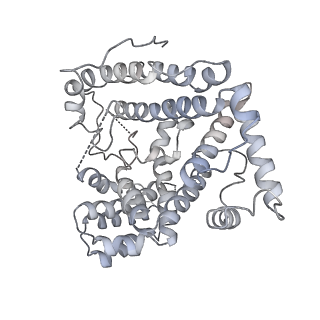 33153_7xe0_J_v1-1
Cryo-EM structure of plant NLR Sr35 resistosome