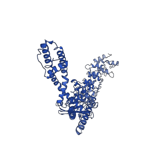 33161_7xew_A_v1-1
Structure of mTRPV2_Q525F