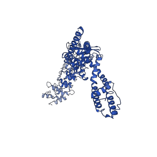 33161_7xew_C_v1-1
Structure of mTRPV2_Q525F