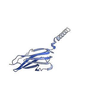 38291_8xej_B_v1-1
Cryo-EM structure of human XKR8-basigin complex in lipid nanodisc