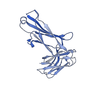 38291_8xej_H_v1-1
Cryo-EM structure of human XKR8-basigin complex in lipid nanodisc