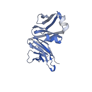 38291_8xej_L_v1-1
Cryo-EM structure of human XKR8-basigin complex in lipid nanodisc