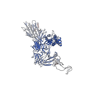 22161_6xf5_A_v1-1
Cryo-EM structure of a biotinylated SARS-CoV-2 spike probe in the prefusion state (RBDs down)