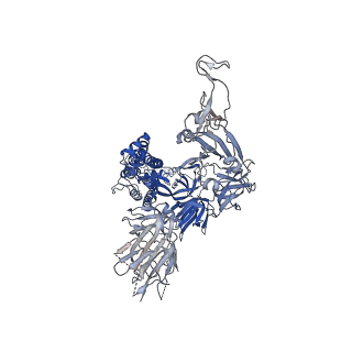 22161_6xf5_B_v1-1
Cryo-EM structure of a biotinylated SARS-CoV-2 spike probe in the prefusion state (RBDs down)