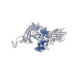 22161_6xf5_C_v1-1
Cryo-EM structure of a biotinylated SARS-CoV-2 spike probe in the prefusion state (RBDs down)