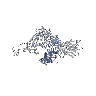 22162_6xf6_A_v1-1
Cryo-EM structure of a biotinylated SARS-CoV-2 spike probe in the prefusion state (1 RBD up)