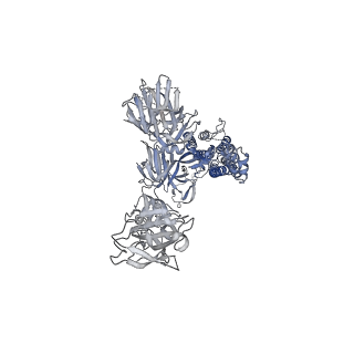 22162_6xf6_B_v1-1
Cryo-EM structure of a biotinylated SARS-CoV-2 spike probe in the prefusion state (1 RBD up)