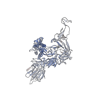 22162_6xf6_C_v1-1
Cryo-EM structure of a biotinylated SARS-CoV-2 spike probe in the prefusion state (1 RBD up)