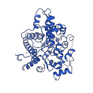 22168_6xfa_A_v1-0
Cryo-EM structure of EBV BFLF1