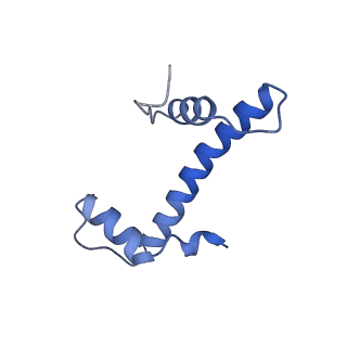 33171_7xfc_B_v1-1
Structure of nucleosome-DI complex (-30I, Apo state)