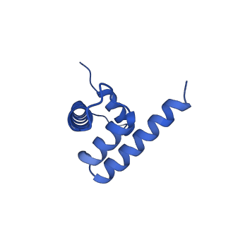 33171_7xfc_D_v1-1
Structure of nucleosome-DI complex (-30I, Apo state)