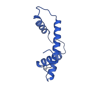 33171_7xfc_E_v1-1
Structure of nucleosome-DI complex (-30I, Apo state)
