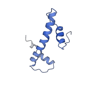 33171_7xfc_F_v1-1
Structure of nucleosome-DI complex (-30I, Apo state)