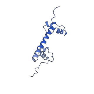 33171_7xfc_G_v1-1
Structure of nucleosome-DI complex (-30I, Apo state)
