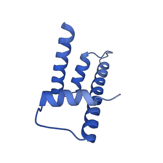 33171_7xfc_H_v1-1
Structure of nucleosome-DI complex (-30I, Apo state)