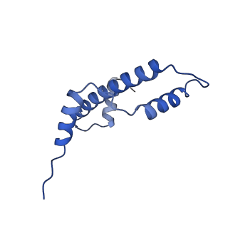 33172_7xfh_A_v1-1
Structure of nucleosome-AAG complex (A-30I, post-catalytic state)
