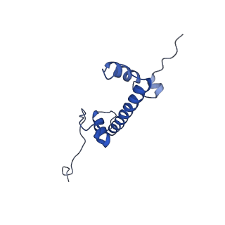 33172_7xfh_C_v1-1
Structure of nucleosome-AAG complex (A-30I, post-catalytic state)
