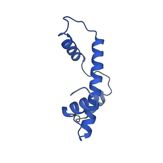 33172_7xfh_E_v1-1
Structure of nucleosome-AAG complex (A-30I, post-catalytic state)