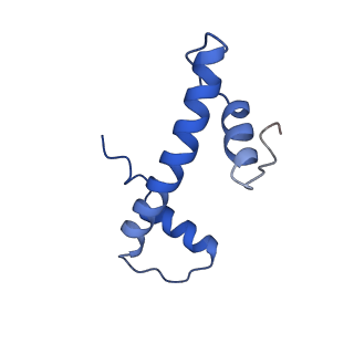 33172_7xfh_F_v1-1
Structure of nucleosome-AAG complex (A-30I, post-catalytic state)