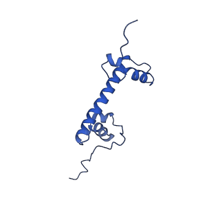 33172_7xfh_G_v1-1
Structure of nucleosome-AAG complex (A-30I, post-catalytic state)