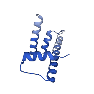 33172_7xfh_H_v1-1
Structure of nucleosome-AAG complex (A-30I, post-catalytic state)