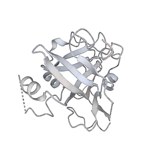 33172_7xfh_K_v1-1
Structure of nucleosome-AAG complex (A-30I, post-catalytic state)