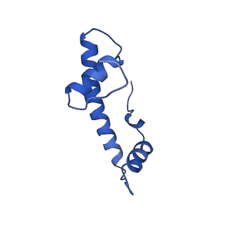 33173_7xfi_B_v1-1
Structure of nucleosome-DI complex (-50I, Apo state)