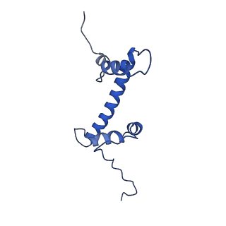 33173_7xfi_C_v1-1
Structure of nucleosome-DI complex (-50I, Apo state)