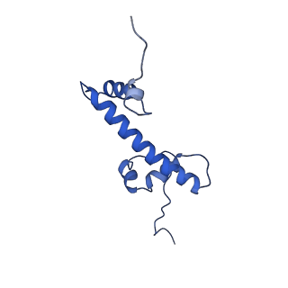33173_7xfi_G_v1-1
Structure of nucleosome-DI complex (-50I, Apo state)